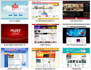 河南网络公司第一品牌 已认证 驻马店网站制作设计